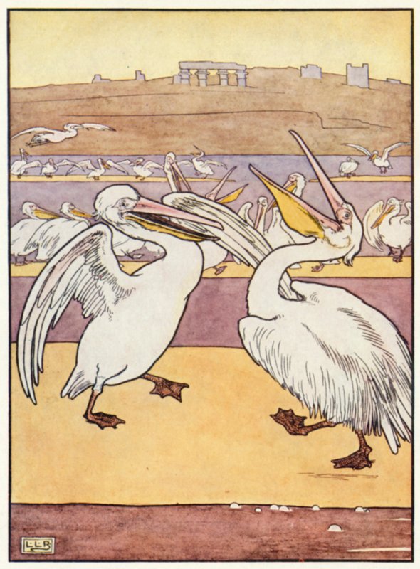 Pelikan Korosu by Leonard Leslie Brooke