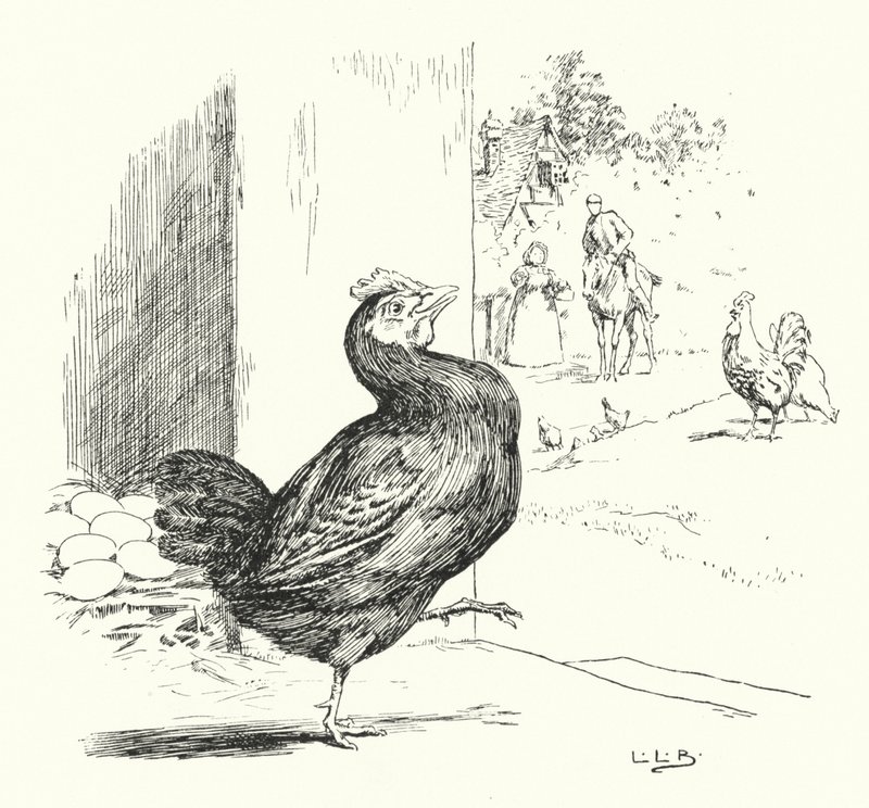 Higgly Piggly, benim kara tavuğum (gravür) by Leonard Leslie Brooke