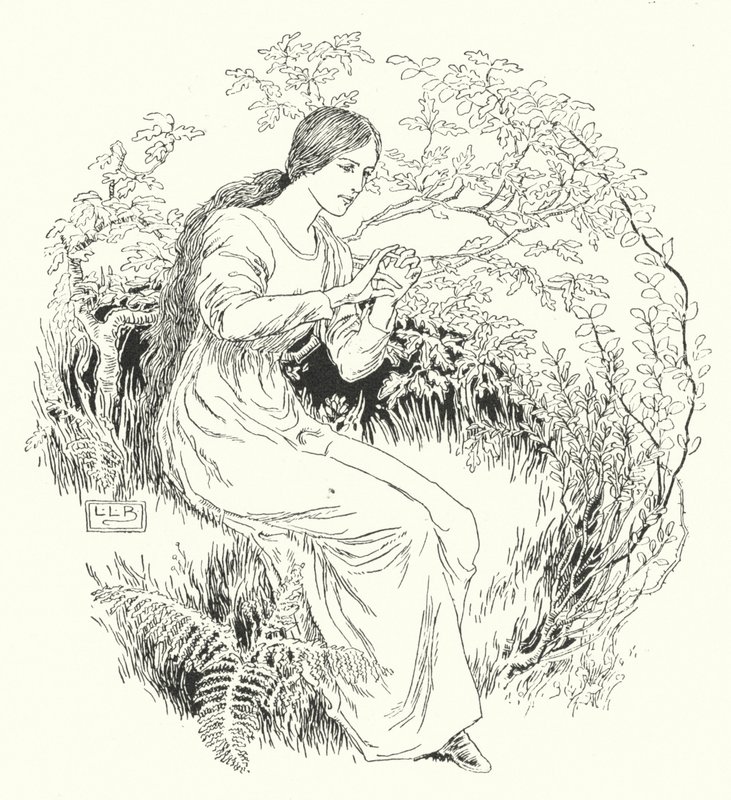 Ormana gittim ve aldım (gravür) by Leonard Leslie Brooke