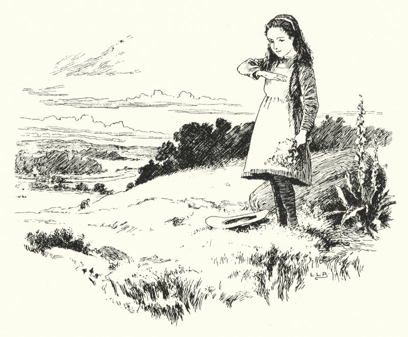 Hanım kuşu, hanım kuşu, eve uçun (gravür) by Leonard Leslie Brooke