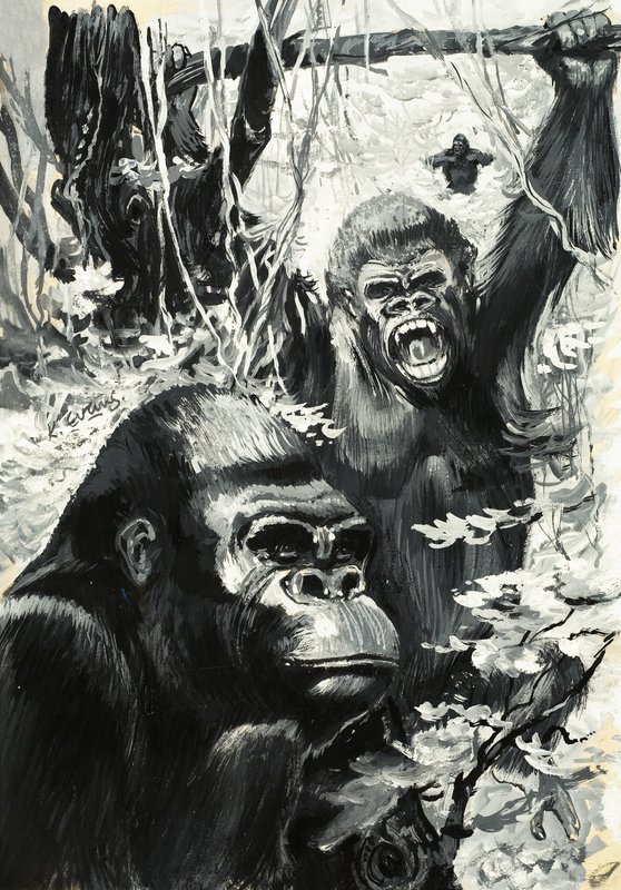 Goriller by Leslie Field Evans