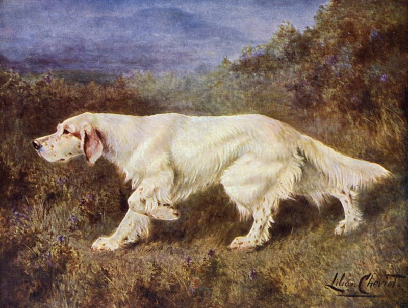 Bay JJ Holgate