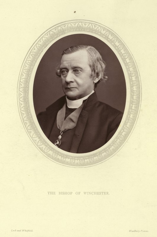Winchester Piskoposu Samuel Wilberforce'un portresi by Lock and Whitfield