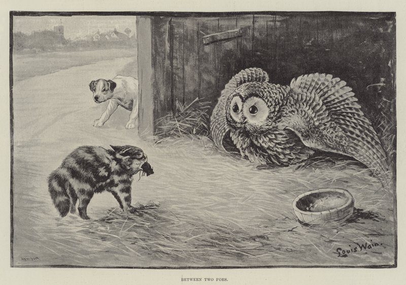 İki Düşman Arasında by Louis Wain