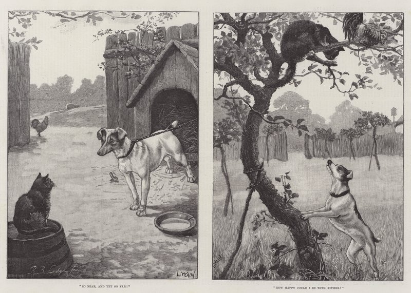 Kediler ve köpekler by Louis Wain