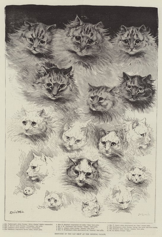 Kristal Saray'daki Kedi Gösterisinden Çizimler by Louis Wain