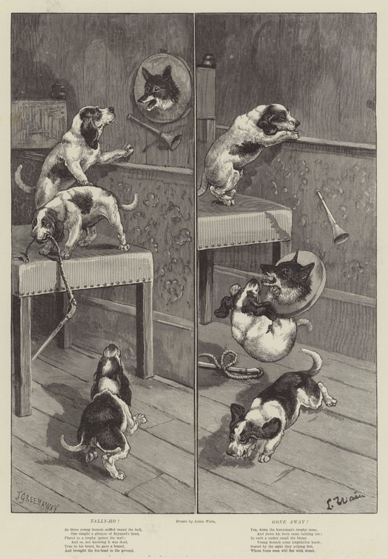 Tally-Ho! Gitti! by Louis Wain
