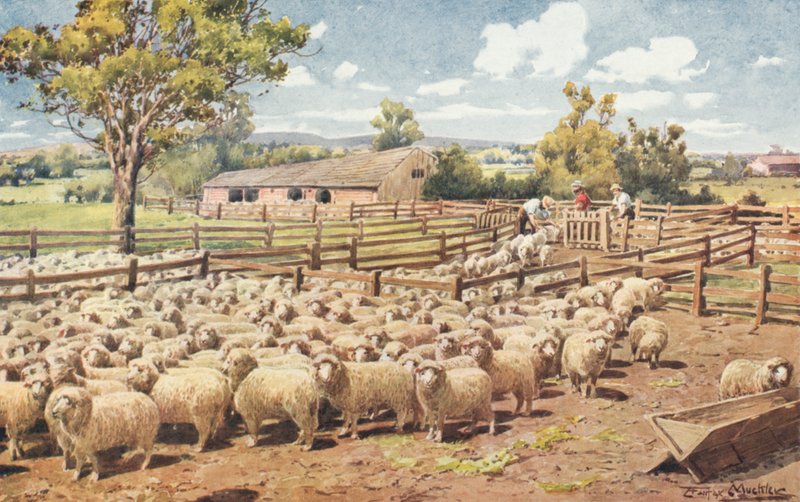 Avustralya Koyun İstasyonunda Sahne (renkli taş) by Louis Fairfax Muckley