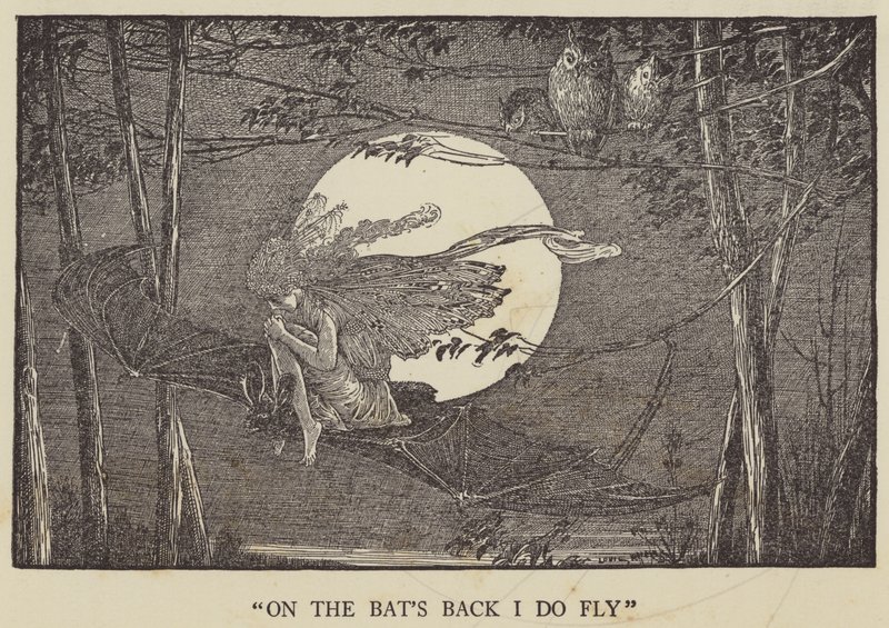 Yarasaların sırtında uçuyorum by Louis John Rhead