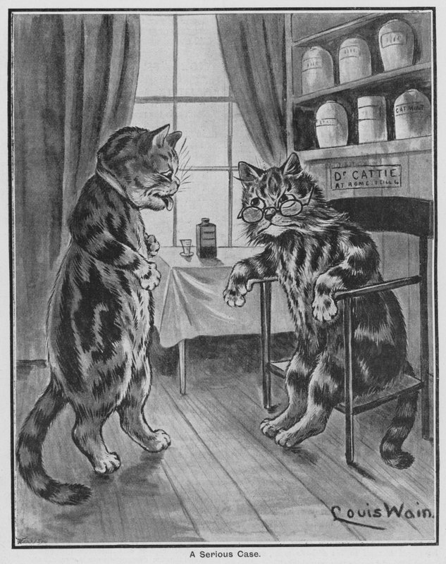 Ciddi Bir Vaka (gravür) by Louis Wain