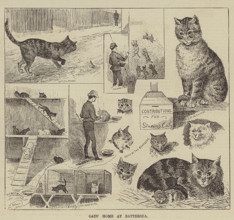 ಬ್ಯಾಟರ್‌ಸೀ ಟರ್ಕಿಯಲ್ಲಿ ಬೆಕ್ಕಿನ ಮನೆ by Louis Wain