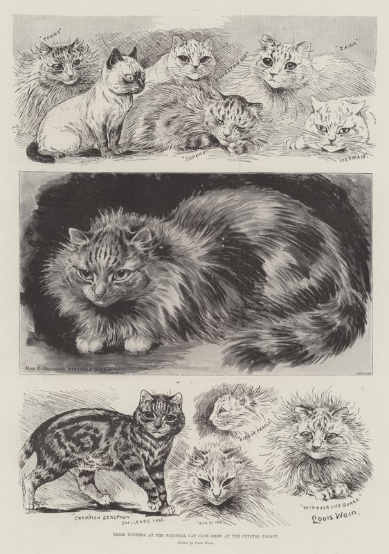 Crystal Palace'daki Ulusal Kedi Kulübü Gösterisinde Ödül Kazananlar by Louis Wain