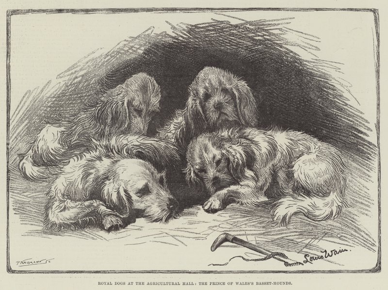 Tarım Salonundaki Kraliyet Köpekleri, Galler Prensi Basset-Hounds by Louis Wain