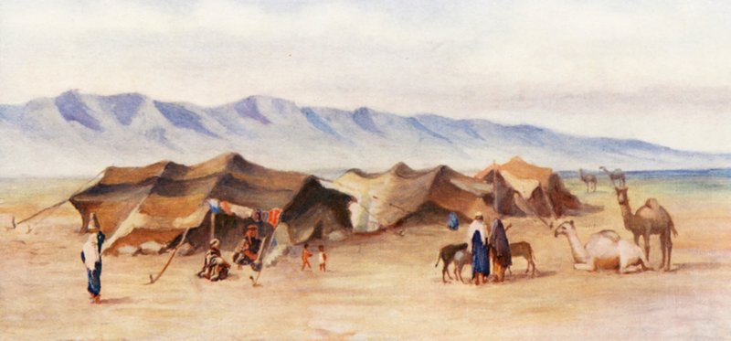 Humus ve Palmira arasındaki Arap Kampı (renkli taş baskı) by Margaret Thomas