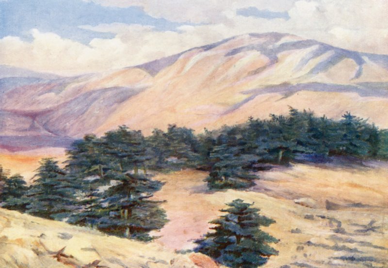  by Margaret Thomas