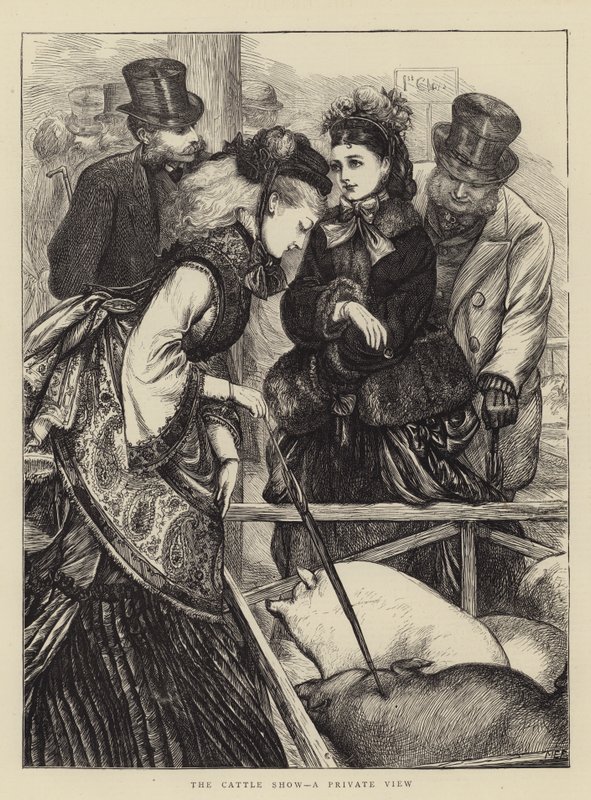 Sığır Gösterisi, Özel Görünüm by Mary Ellen Edwards