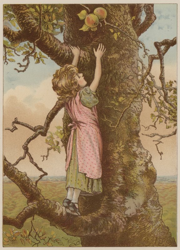 Son elmalar için tırmanan kız (chromolitho) by Mary Ellen Edwards