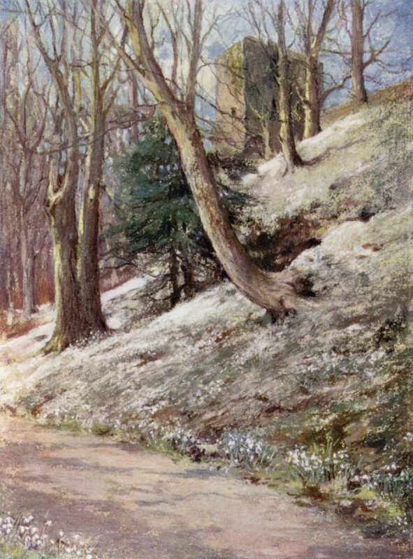 İskoç Bahçeleri: Ardgowan (renkli taş) by Mary Georgina Wade Wilson
