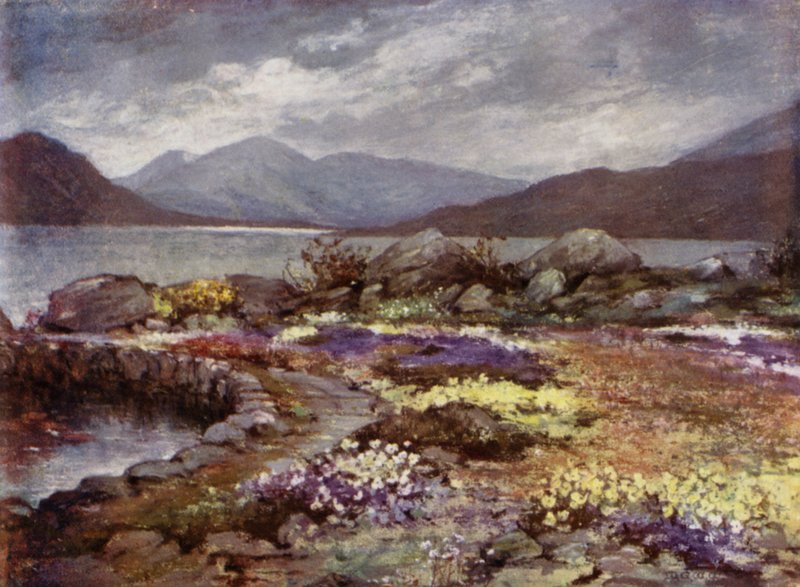 İskoç Bahçeleri: Corrour (renkli taş) by Mary Georgina Wade Wilson