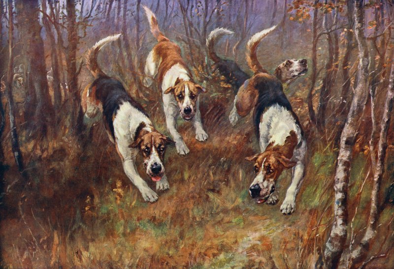 With The Rufford  by Maud Earl