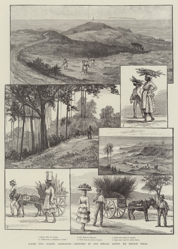 İki Okyanusun Ötesinde, Barbados by Melton Prior