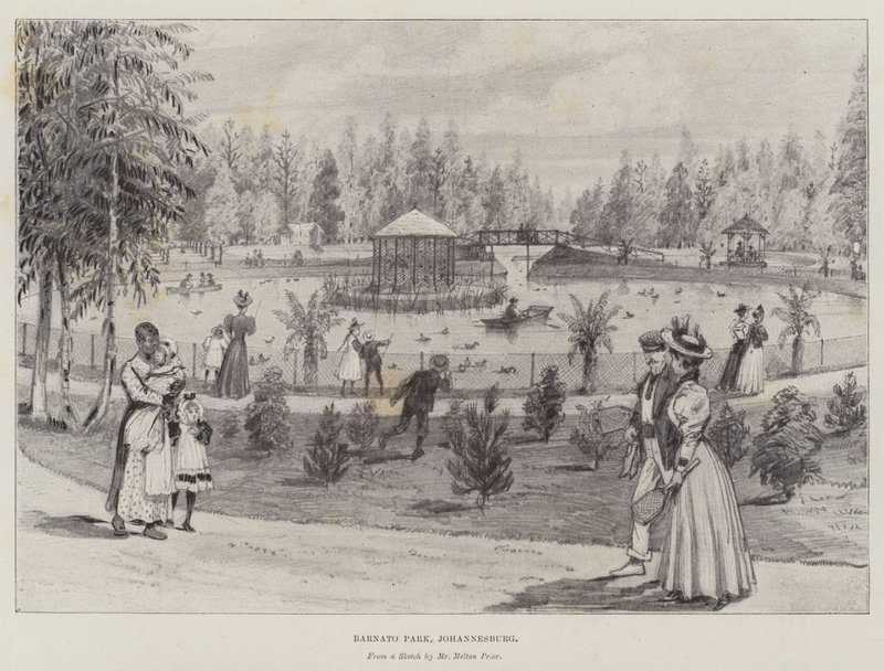 ಬರ್ನಾಟೊ ಪಾರ್ಕ್, ಜೋಹಾನ್ಸ್‌ಬರ್ಗ್ ಟರ್ಕಿ by Melton Prior