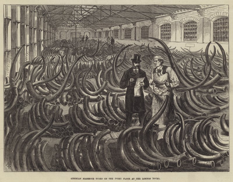 Londra Rıhtımlarında Fildişi Zeminde Sibirya Mamut Dişleri by Melton Prior