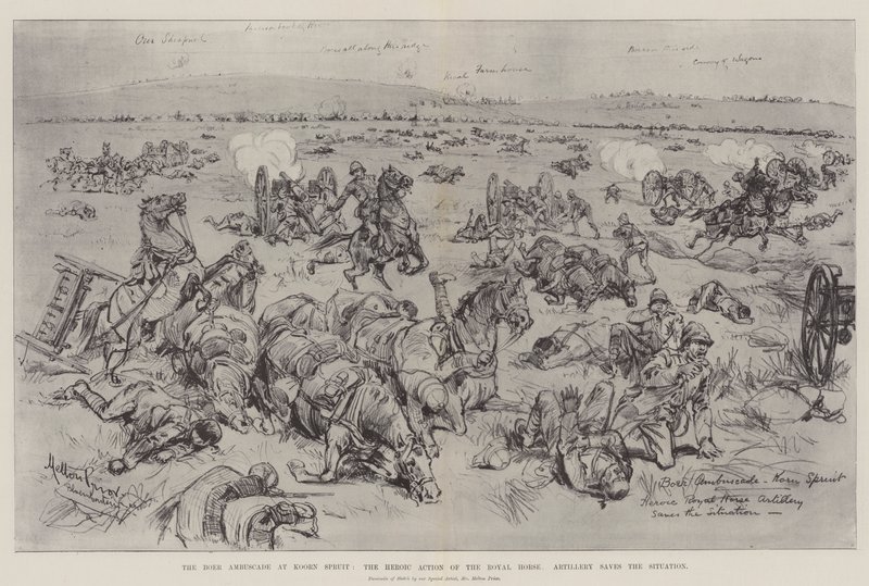 Koorn Spruit'teki Boer Ambuscade, Kraliyet Atlı Ağır Silahlarının Kahramanca Aksiyonu Durumu kurtarıyor by Melton Prior