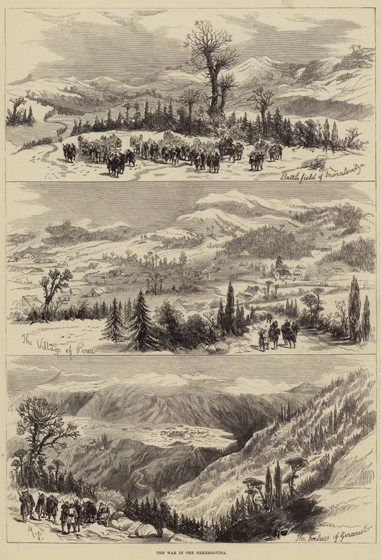 Hersek