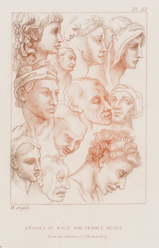 Erkek ve dişi kafa çalışmaları (gravür) by Michelangelo (after) Buonarroti