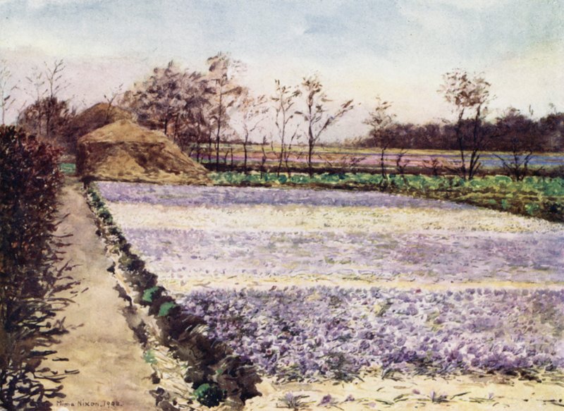 Bir Çiğdem Tarlası (renkli taş) by Mima Nixon