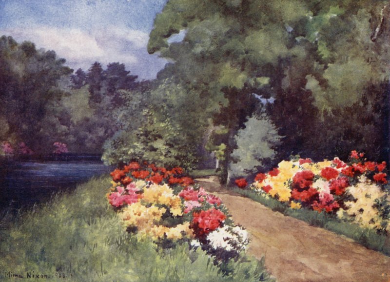 Açelyalar, Het Loo (renkli taş) by Mima Nixon