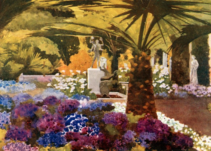 Cinerarias, Achilleion, Korfu by Mima Nixon