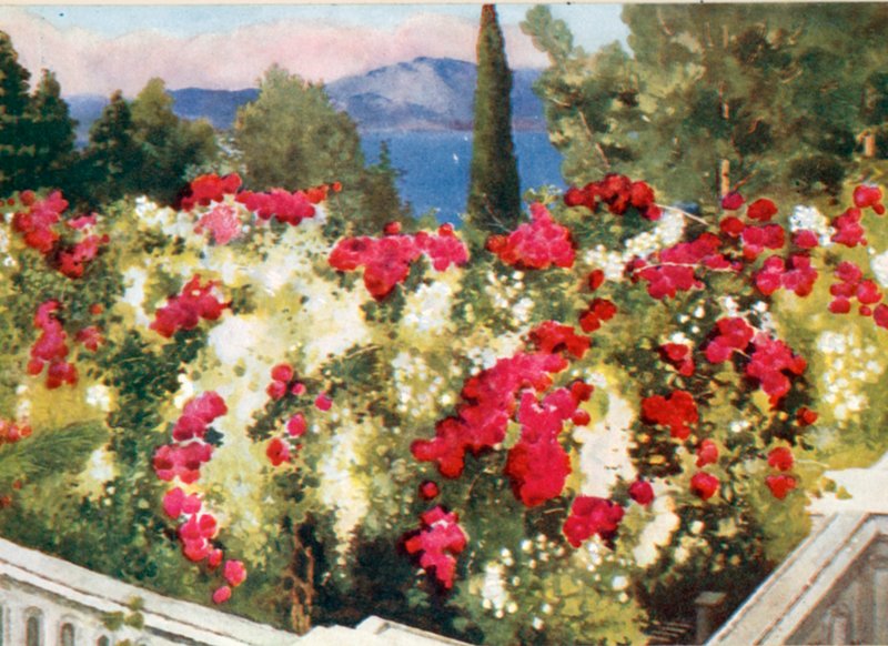 Gül Pergola, Achilleion, Korfu by Mima Nixon