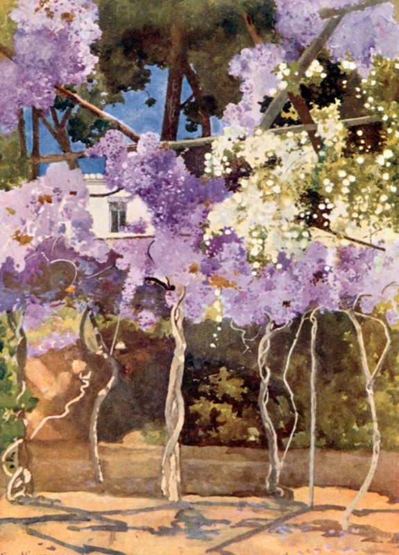 Wistaria Bower, Kraliyet Sarayı, Atina by Mima Nixon