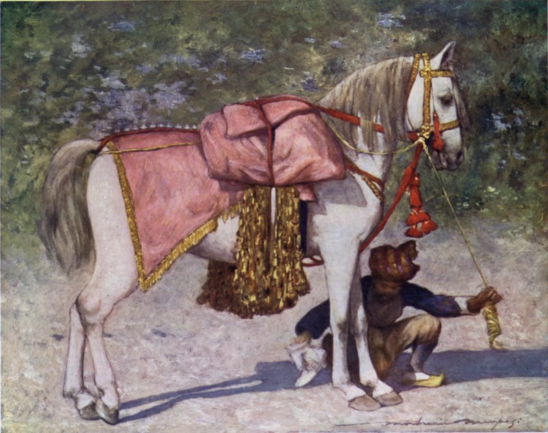 Rao of Citch