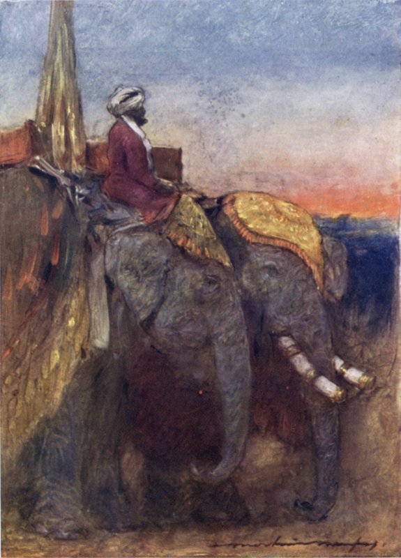 Jaipur Filleri (renkli taş) by Mortimer Ludington Menpes