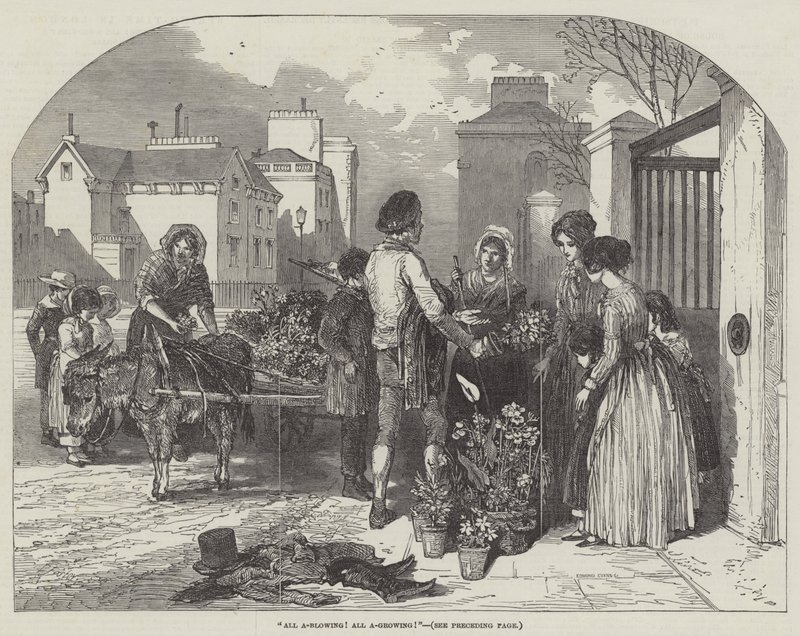 ಎಲ್ಲಾ ಎ-ಬ್ಲೋಯಿಂಗ್! ಎಲ್ಲಾ ಎ-ಗ್ರೋಯಿಂಗ್! ಟರ್ಕಿ by Myles Birket Foster