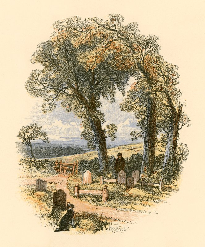 Amerika by Myles Birket Foster