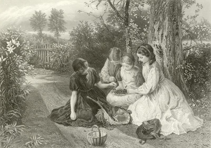 Bir kiraz şöleni by Myles Birket Foster