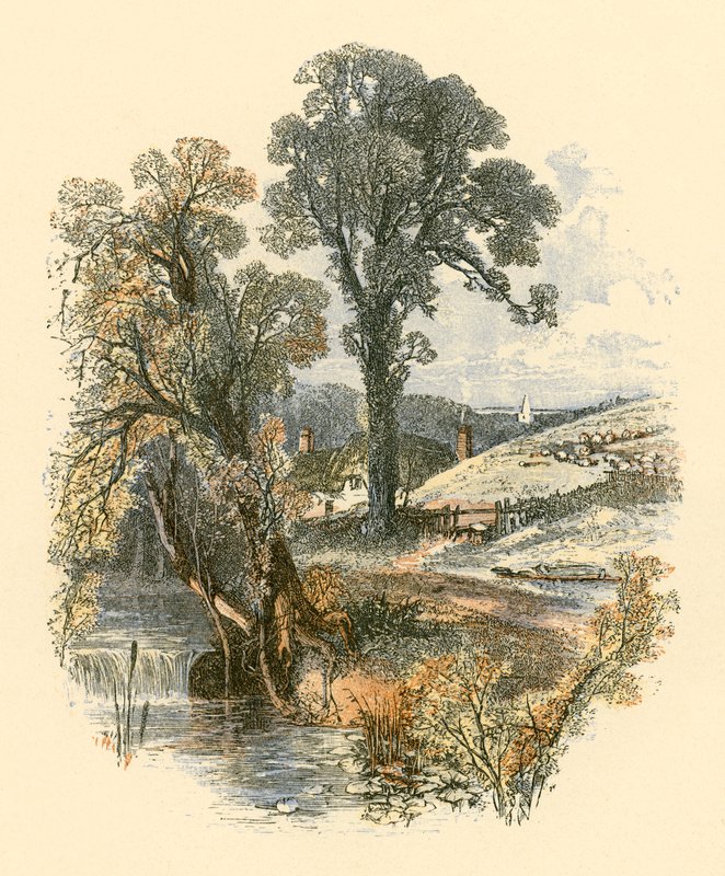 Doğanın güzellikleri by Myles Birket Foster