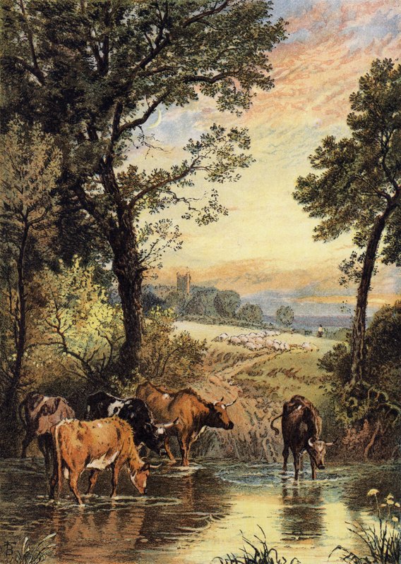 Yaz akşamı by Myles Birket Foster