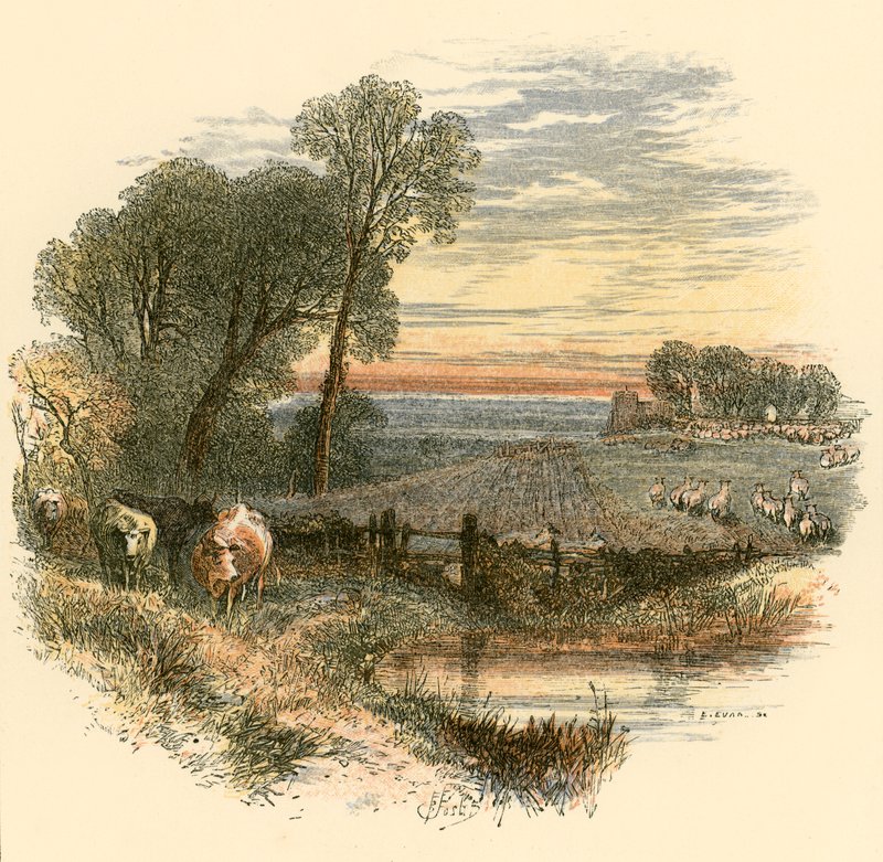 Pazar by Myles Birket Foster