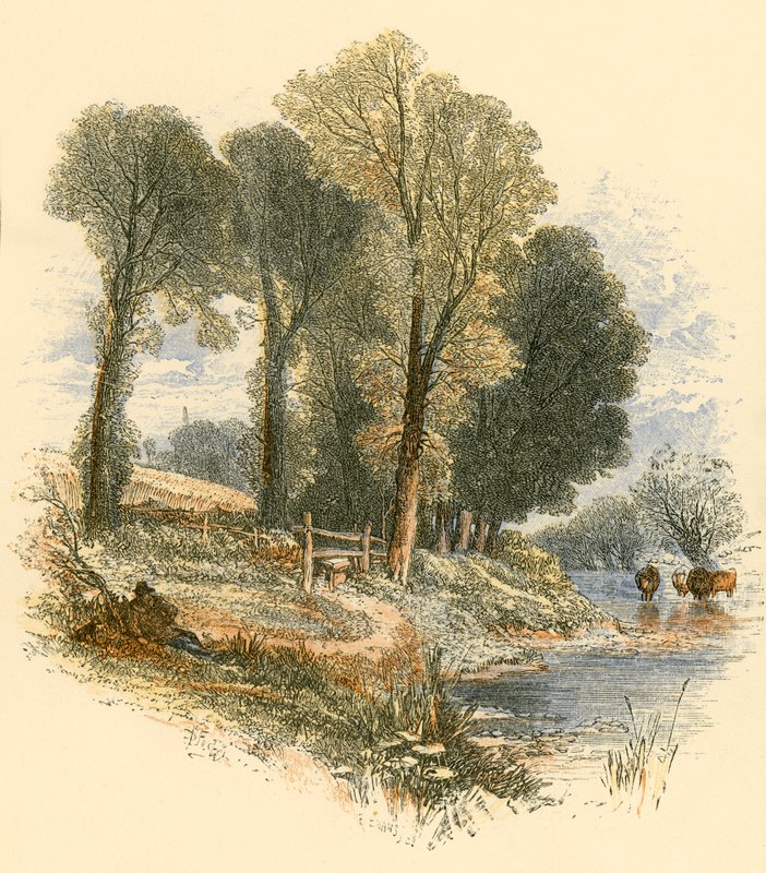 Pazar Yürüyüşleri by Myles Birket Foster