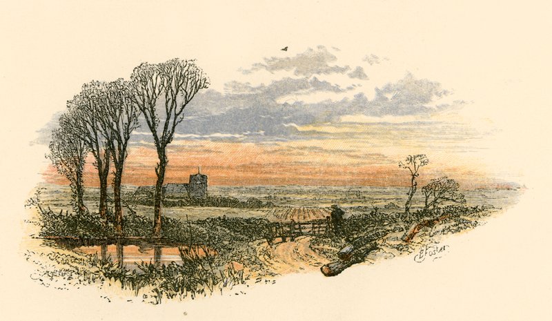 pazar akşamı yürüyüş by Myles Birket Foster