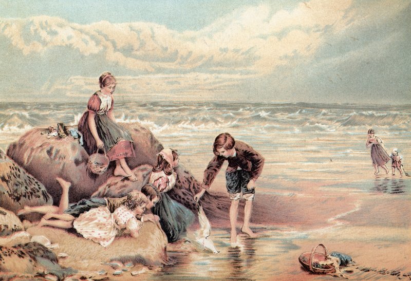 Ölü Deniz Kuşu by Myles Birket Foster