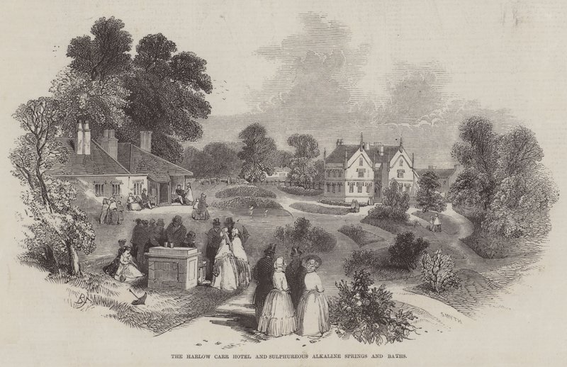 Harlow Carr Oteli ve Kükürtlü Alkali Kaplıcalar ve Hamamlar by Myles Birket Foster