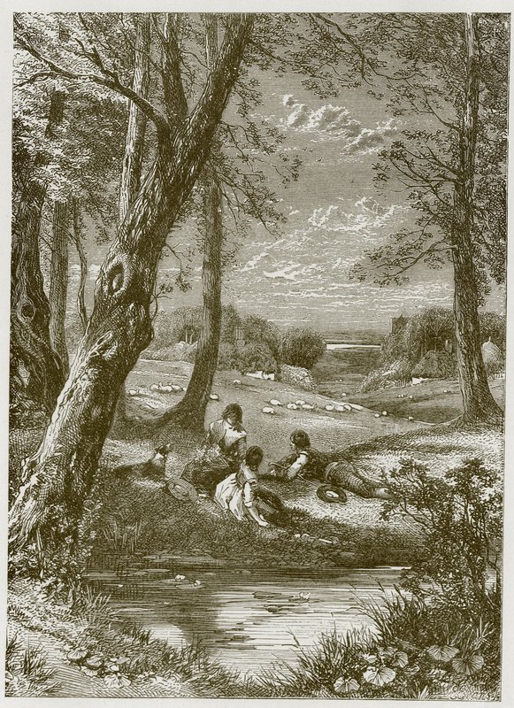 Bir Taşralının Hayatının Övgüsü by Myles Birket Foster