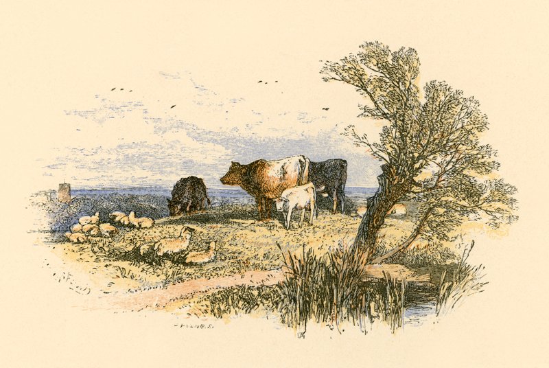 kilise çanları by Myles Birket Foster