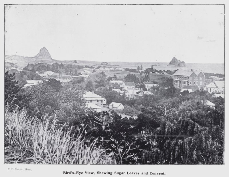 New Plymouth, Yeni Zelanda: Kuş Bakışı, Shewing Sugar Loaves ve Manastır (s/b fotoğraf) by New Zealand Photographer